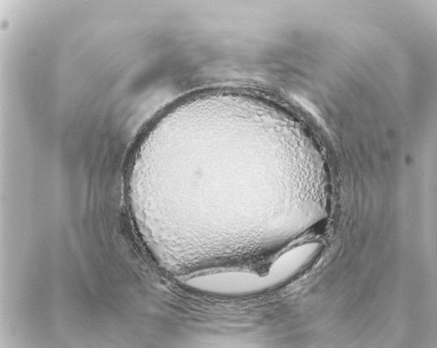 X0000088621267200706221446