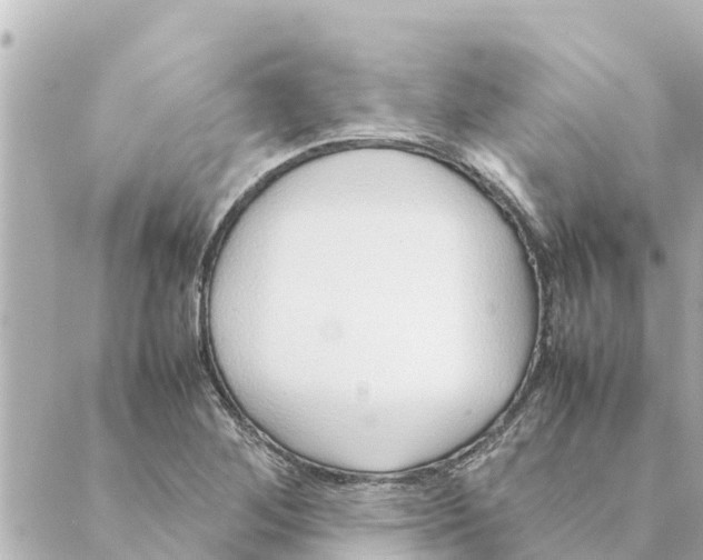 X0000088621268200706221446