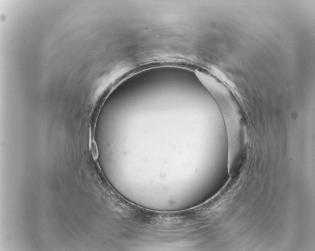 X0000088621269200706221446