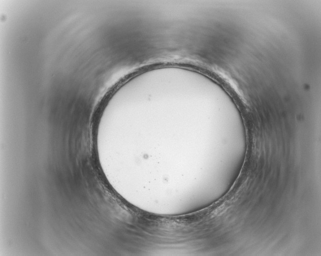 X0000088621270200706221446