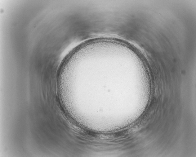 X0000088621271200706221446