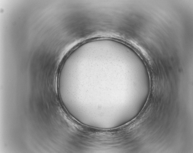 X0000088621272200706221446