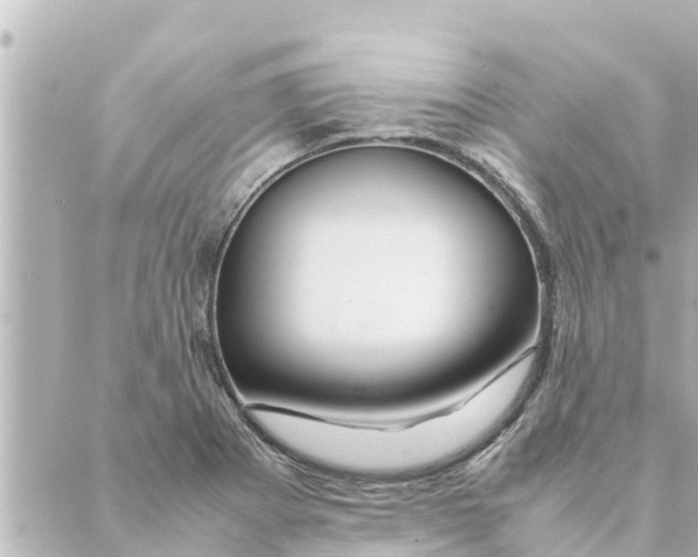 X0000088621273200706221446