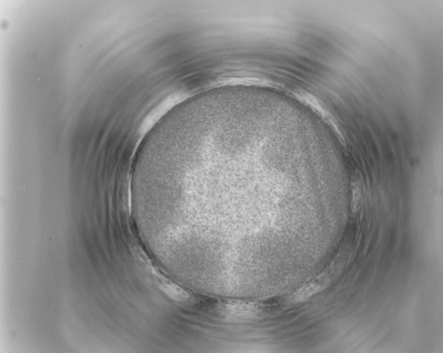 X0000088621274200706221446