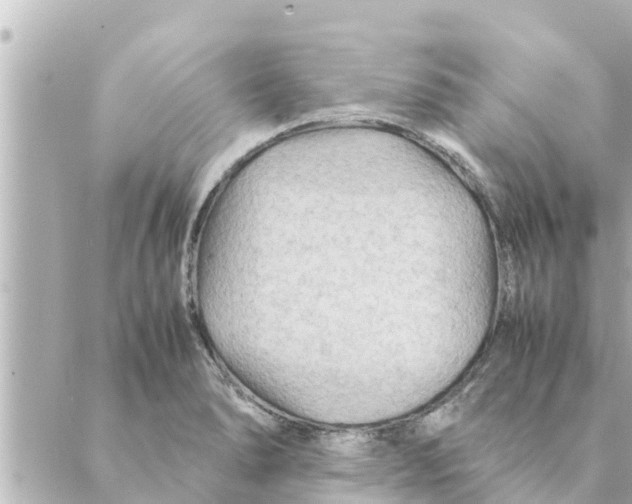 X0000088621278200706221446