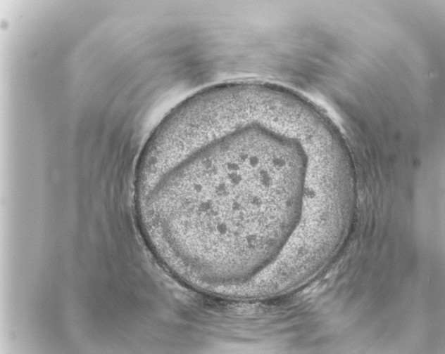 X0000088621279200706221446