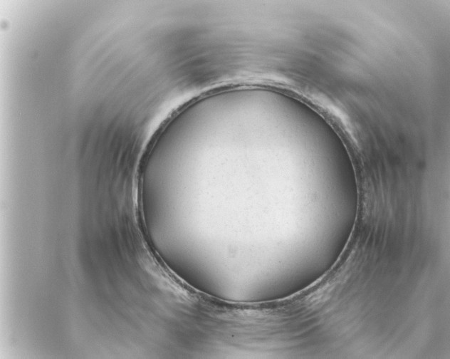 X0000088621280200706221446