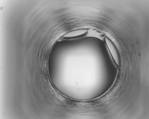 X0000088621281200706221446