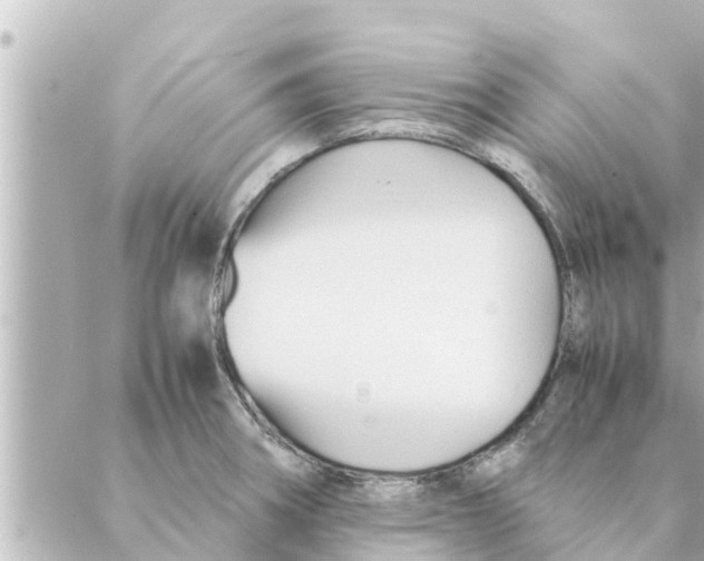 X0000088621282200706221446