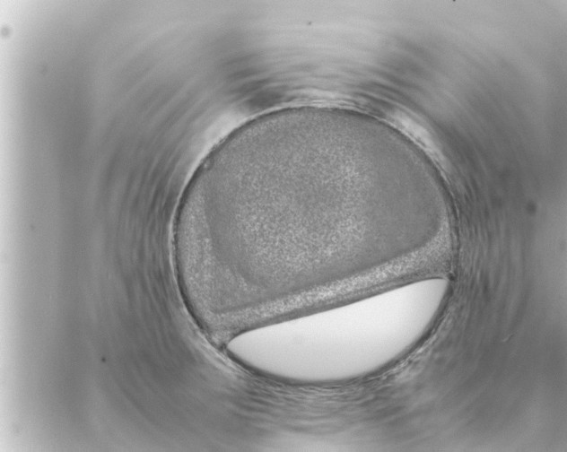 X0000088621283200706221446