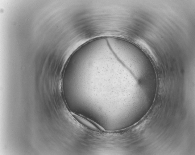 X0000088621284200706221446