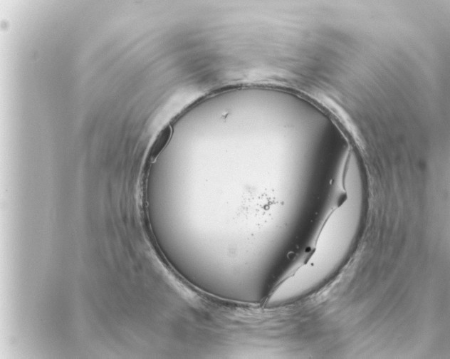 X0000088621285200706221446