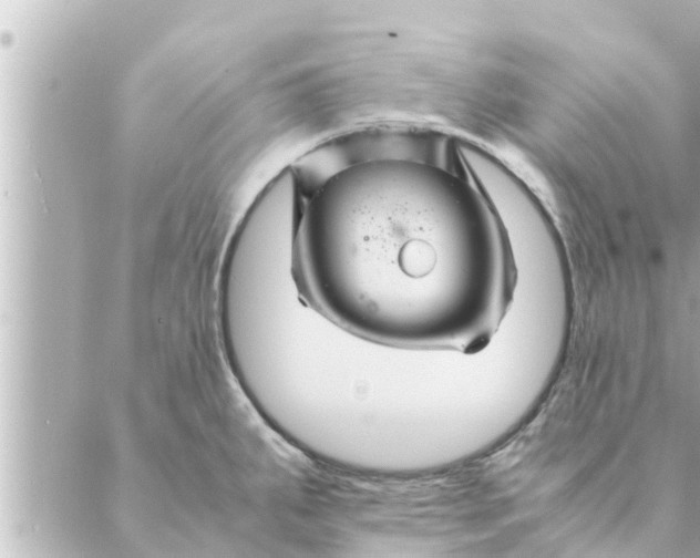 X0000088621287200706221446