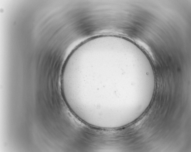 X0000088621288200706221446