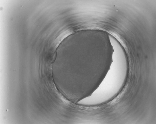 X0000088621289200706221446