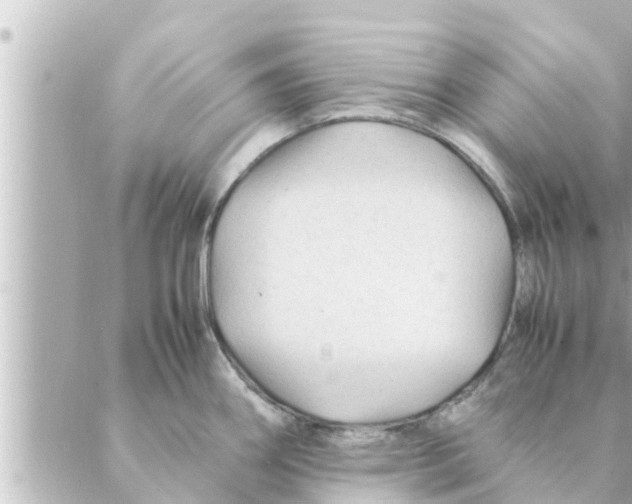 X0000088621290200706221446