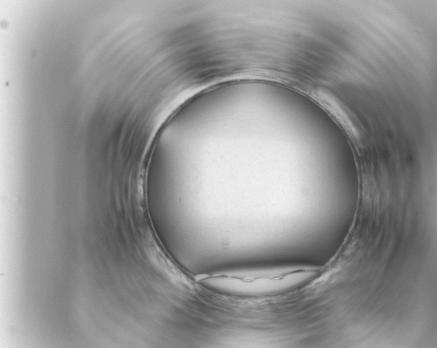 X0000088621292200706221446