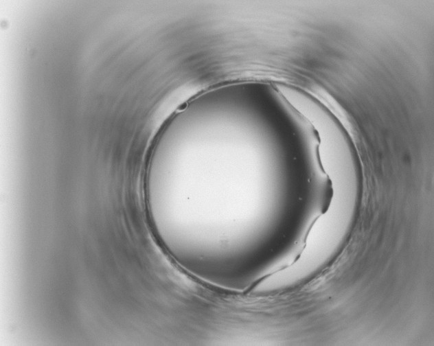 X0000088621293200706221446