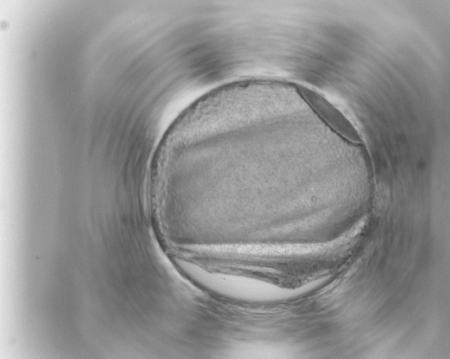 X0000088621295200706221446