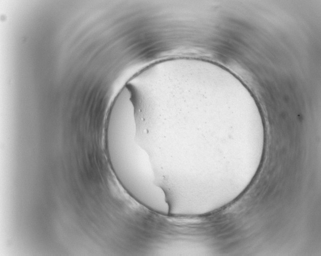 X0000088621296200706221446