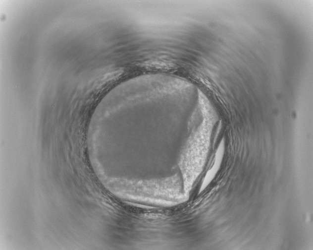 X0000088621297200706221445