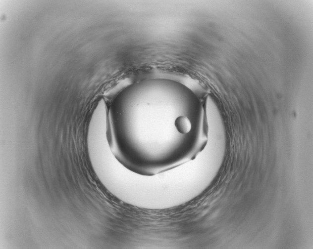 X0000088621298200706221445