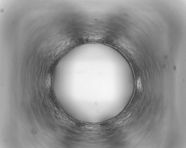 X0000088621299200706221445