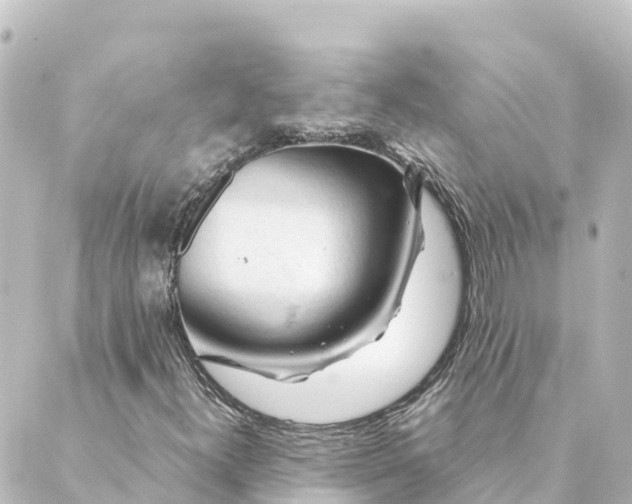 X0000088621300200706221445