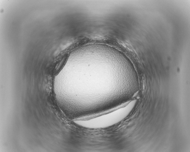 X0000088621301200706221445