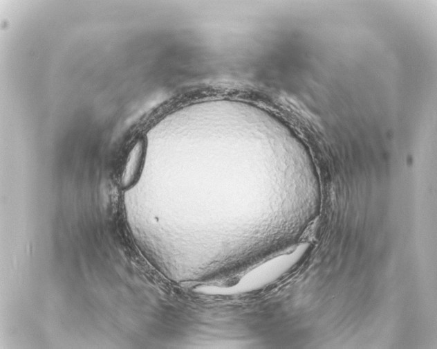 X0000088621302200706221445