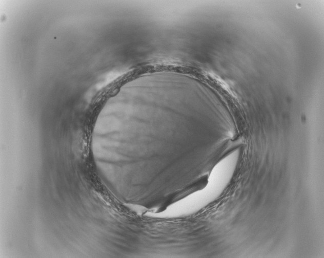 X0000088621303200706221445