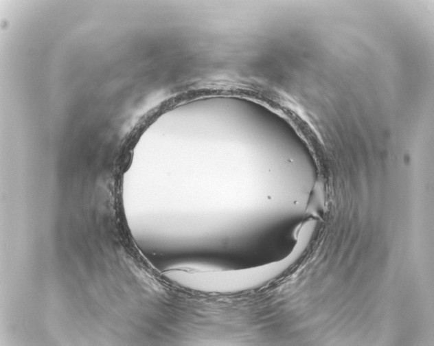 X0000088621304200706221445