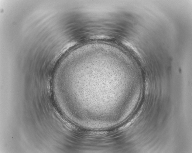 X0000088621305200706221445