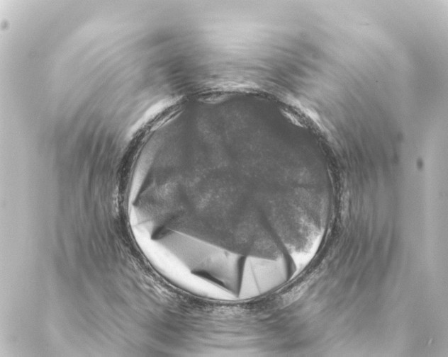 X0000088621306200706221445