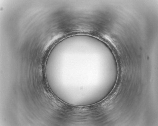 X0000088621307200706221445