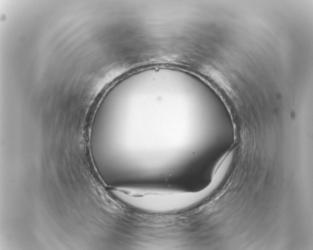 X0000088621308200706221445