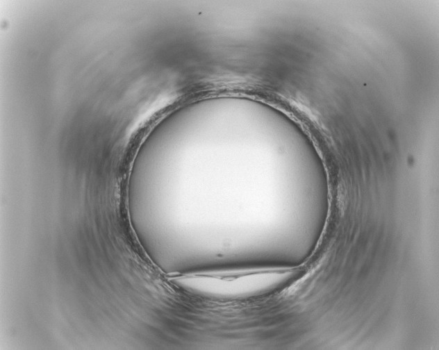 X0000088621309200706221445