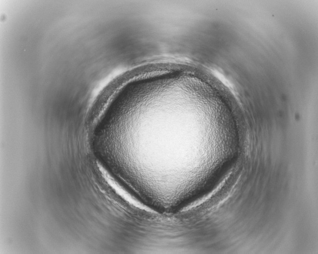 X0000088621310200706221445