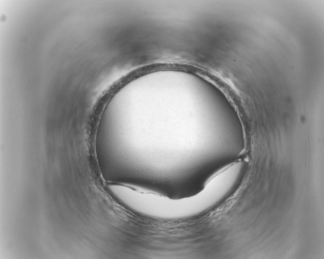 X0000088621311200706221445