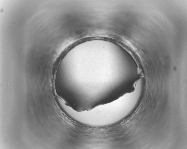 X0000088621312200706221445