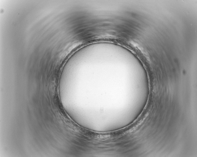 X0000088621313200706221445