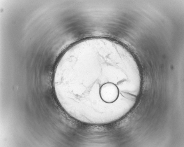 X0000088621314200706221445