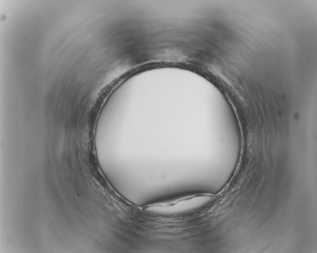 X0000088621315200706221445