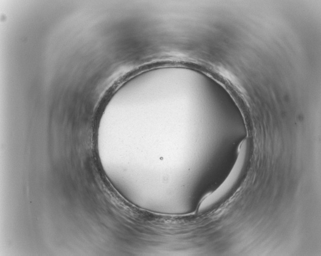 X0000088621318200706221446