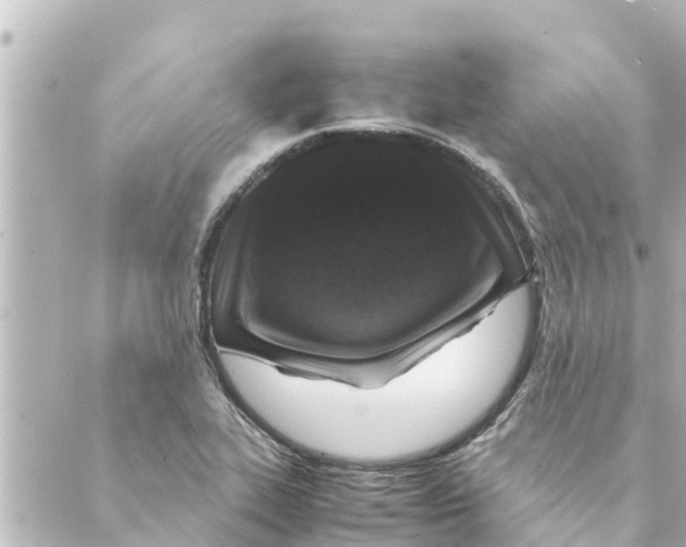 X0000088621319200706221446