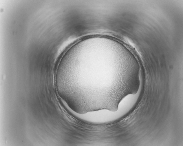 X0000088621320200706221446