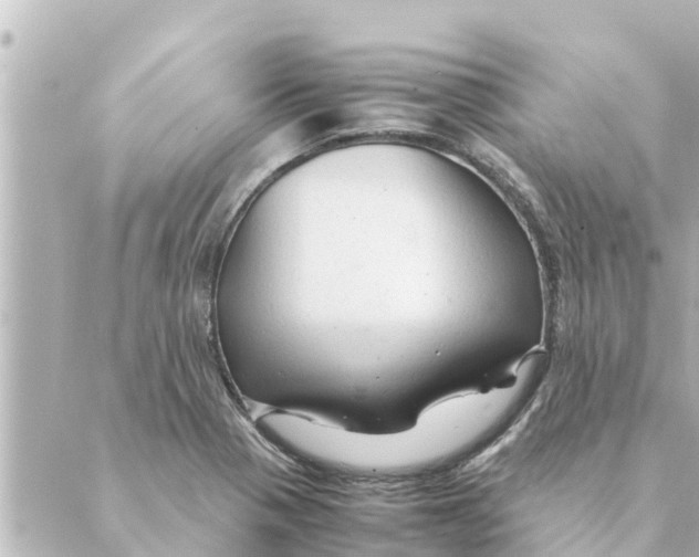 X0000088621321200706221446