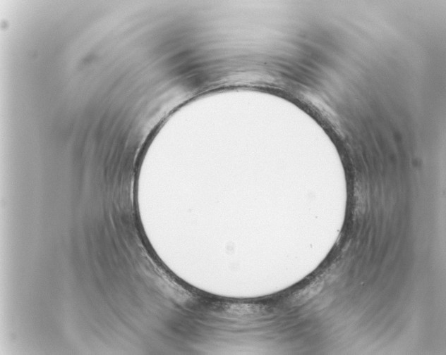 X0000088621322200706221446