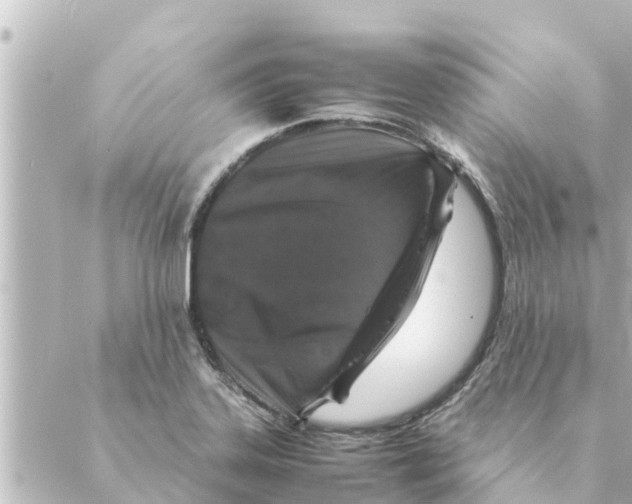 X0000088621323200706221446