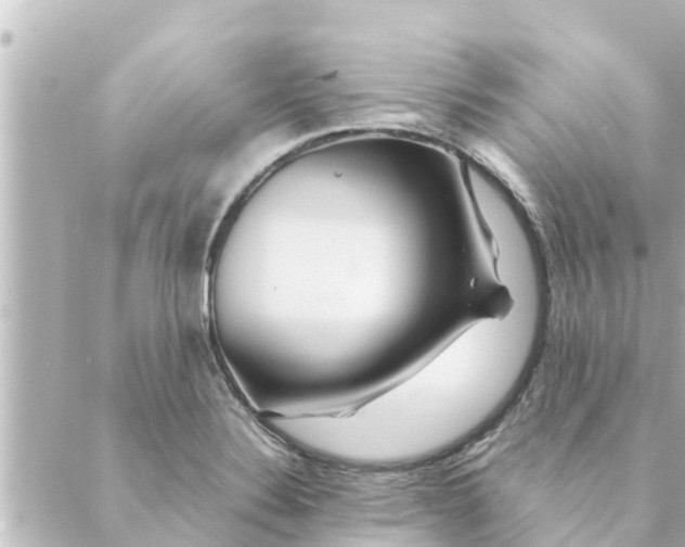 X0000088621324200706221446